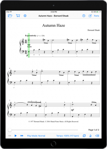 Autumn Haze - Bernard Shaak-iPad Portrait