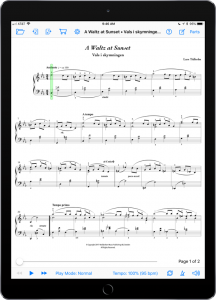 A Waltz at Sunset-iPad Portrait