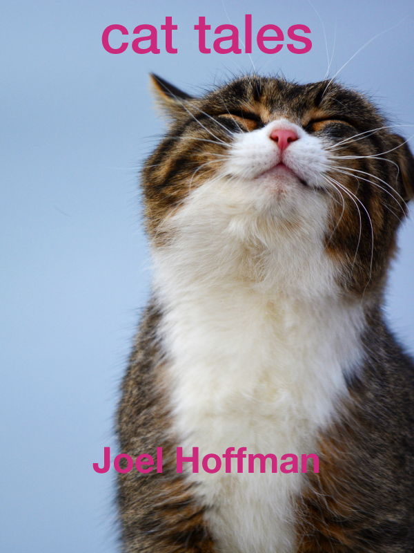Cat Tales by Joel Hoffman