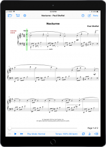 Nocturne by Paul Sheftel-iPad Portrait